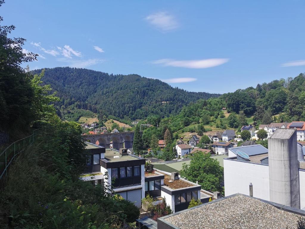 Terrassenwohnung mit toller Aussicht & zentrumsnah 18B Reichenbacher Straße, 78132 Hornberg