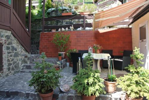 Thale-Treseburg-Ferienhaus im Bodetal
