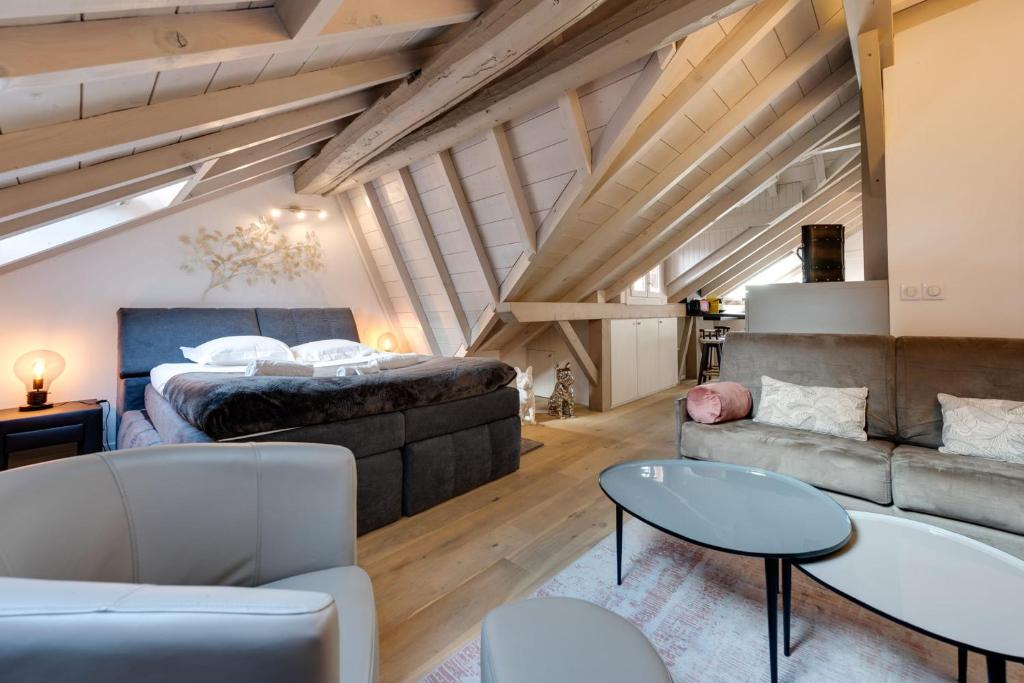 Appartement The Attic - Ideally located in the old town 7 Rue Perrière 74000 Annecy