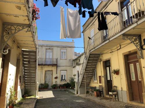 The Back Street Nest