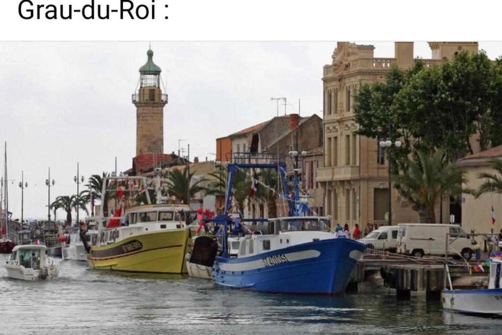 The Blue Sail Beach and Shops on foot 2 9 Rue des Roses Résidence Le Plein Sud 2, 30240 Le Grau-du-Roi
