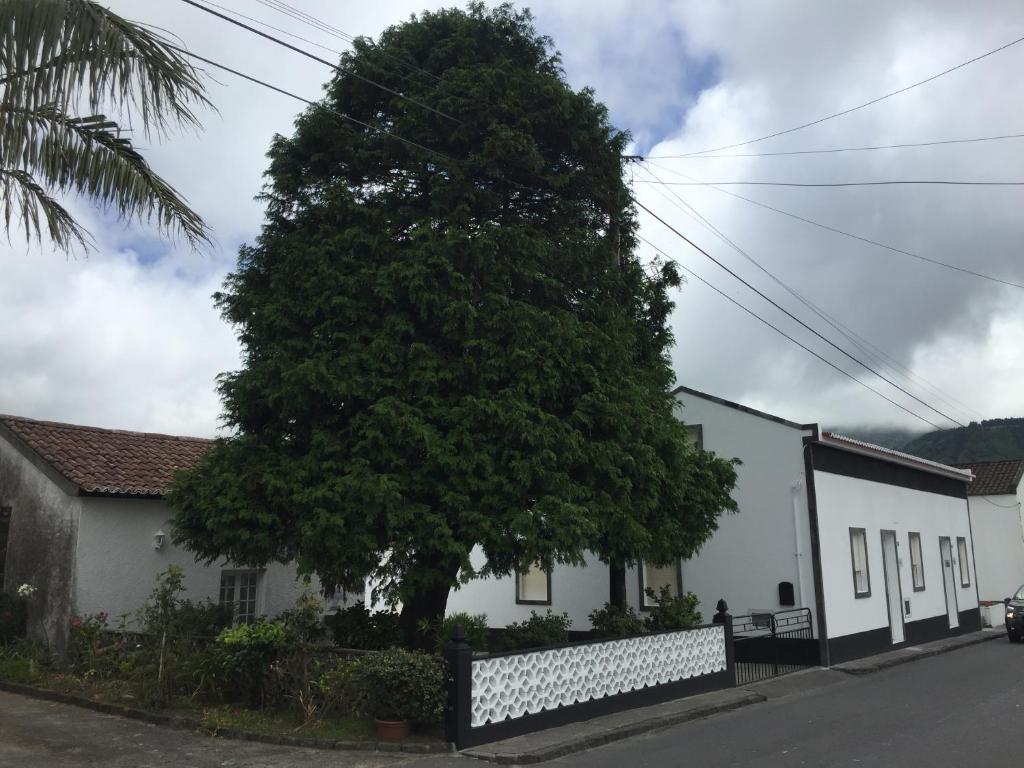 THE CEDAR TREE HOUSE Studio 48 SETE CIDADES SÃO MIGUEL AÇORES RUA NOVA Nº 48, 9555-202 Sete Cidades