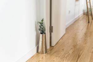 The Light House