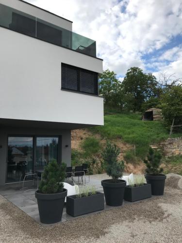 TheGuthPlace