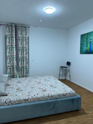 Three Bedroom apartment in City centre with a Grand Garden