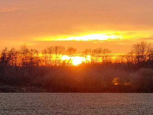 Thuers im Busch - Gute Stube +