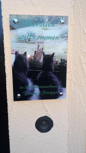 Timmy&Struppi Ferienwohnung im Schwarzwälder Hochwald Saarland- Wadern- Noswendel