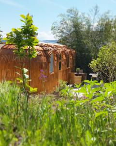 Appartement Tiny House Igluhut Mollenberg 36 88138 Hergensweiler Bavière