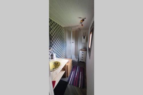 Tiny House mit Indianerzelt und Lagerfeuer im Harz