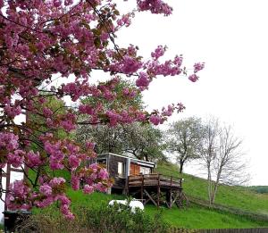 Appartement Tiny House mit Klima und Heizung, in idyllischer Ortsrandlage Auf der Freiheit 36179 Iba Hesse