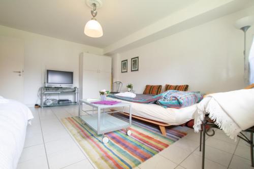 Tolstov Apartments - Big 1 Room Apartment - 15 Min Messe DUS