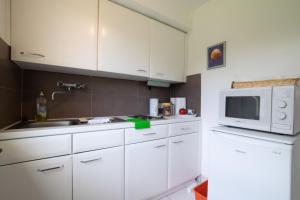 Tolstov Apartments - Big 1 Room Apartment - 15 Min Messe DUS