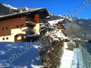 TOP 4810 MONT-BLANC