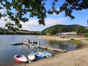 Appartement Top Ferienwohnung am Diemelsee, Sauerland Nähe Willingen Winterberg 10 Ahlener Weg 34519 Diemelsee Hesse