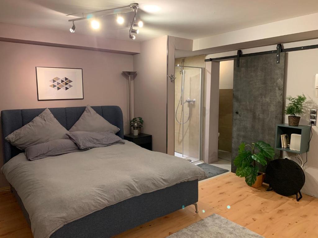 Top Studio Appartement im Grünen nah Phantasialand 58A Kierberger Straße, 50321 Brühl