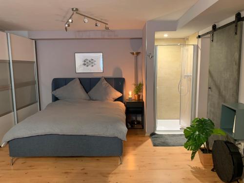 Top Studio Appartement im Grünen nah Phantasialand
