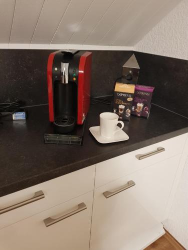 Top XXL Apartment -- großes, elegantes und helles Apartment -- WiFi -- WLAN -- Parkplatz --