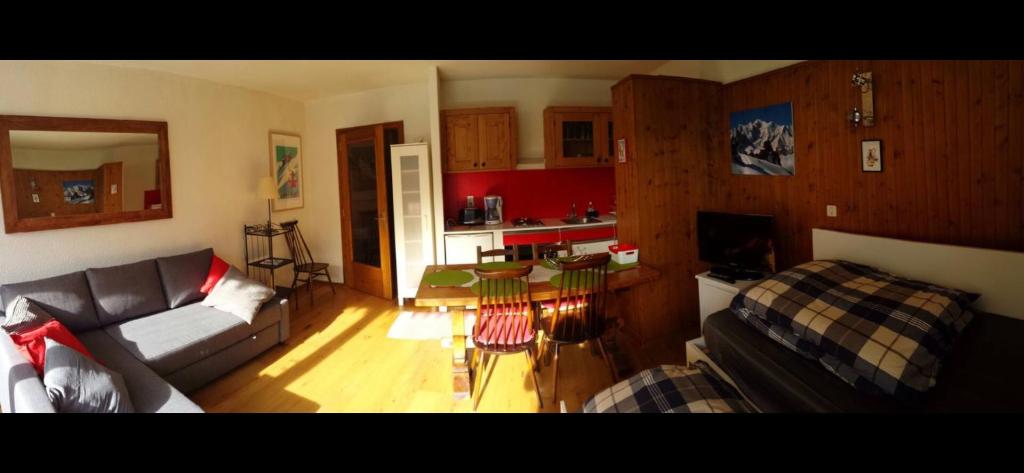 Toulousecozyflat Blagnac - T2 - Free Parking - Terrasse - Jardin