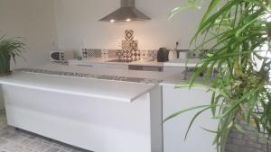 Tournus Castrum Romain Loft