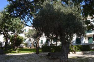 Tracyturs Apartamentos - Lagar