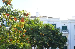 Appartement Tracyturs Apartamentos - Lagar Rua Dom Jerónimo Osório 8800-052 Tavira Algarve