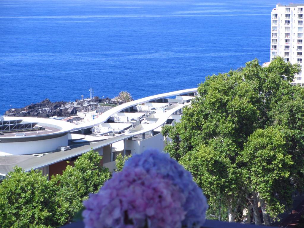 Appartement Tranquil Ocean view apartment 43 Rua Velha da Ajuda Torre 1, 8C 9000-111 Funchal