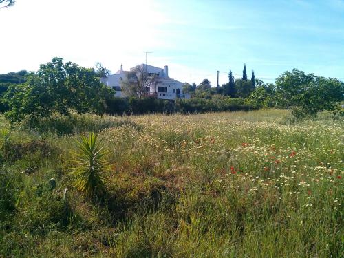 Traquility at Villa Fonte Coberta