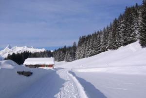Traum-Maisonette auf 1.000m mit Pool und Sauna