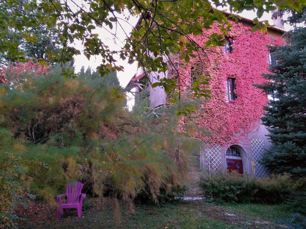 Traumblick FeWo Nr 238 23730 Sierksdorf