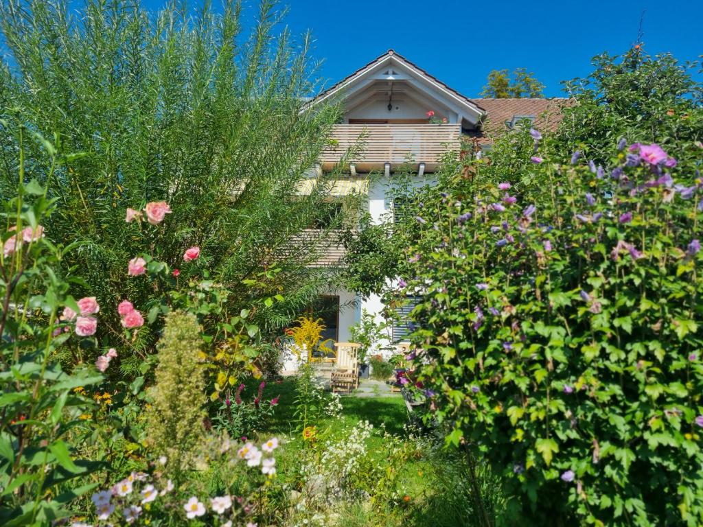 Appartement Traumhafte Gartenwohnung in Überlinger Hanglage - Zur goldenen Kiwi 41 Litscherweg 88662 Überlingen