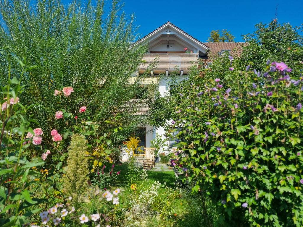 Traumhafte Gartenwohnung in Überlinger Hanglage - Zur goldenen Kiwi 41 Litscherweg, 88662 Überlingen