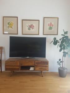 Traumhafte neue Dachterrassenwohnung am Soyener See