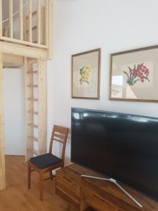Traumhafte neue Dachterrassenwohnung am Soyener See
