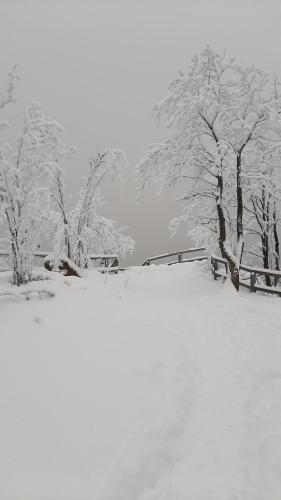 Traumhafter Harzblick