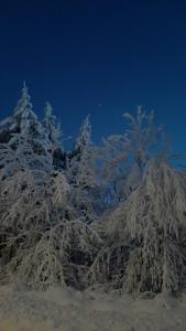 Traumhafter Harzblick