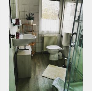 Traumnest