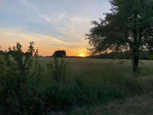 Traumschmiede