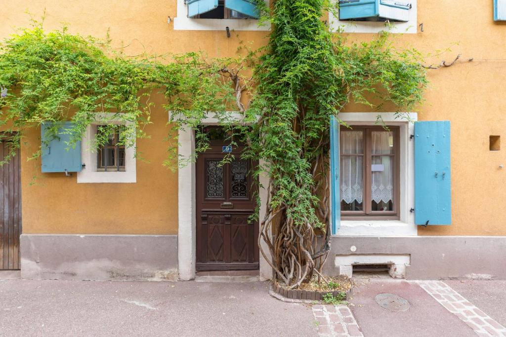 Appartement Travel Homes -The Cigogne, quiet & heart of Colmar Rue d'Alspach 9 68000 Colmar