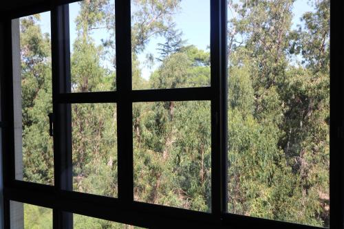 Treetops Lisbon Apartment