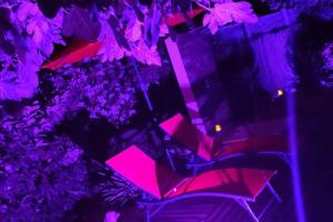 Trés beau studio 35 M2 Entre Mer et Forêt grand jardin et douche tropicale
