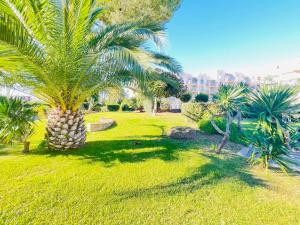 Très bel appartement face au port Santa Lucia