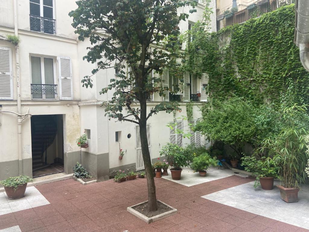 Appartement Très bel appartement Montmartre 85 Rue des Martyrs 75018 Paris