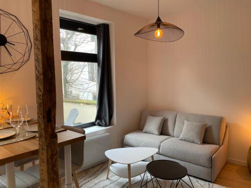Très Grand Studio - Terrasse