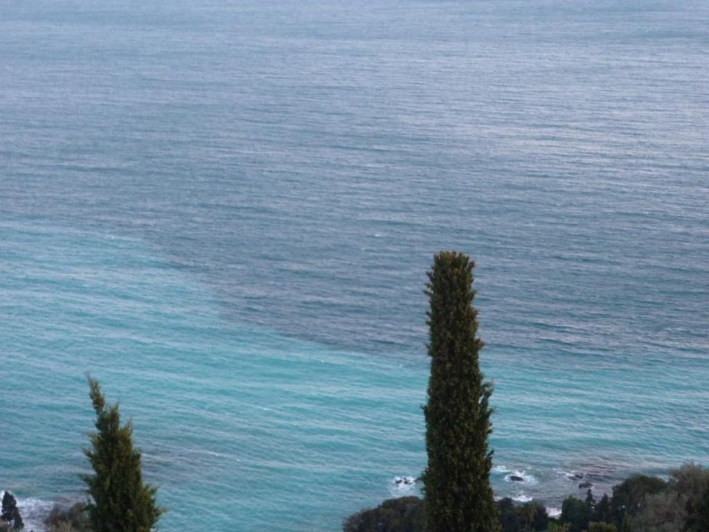 Triplex entre ciel et mer La Bergerie 26 Rue de la Fontaine, 06190 Roquebrune-Cap-Martin