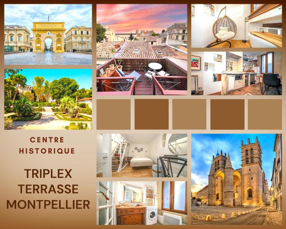 Triplex Terrasse Montpellier Centre Historique 5 Rue Joachim Colbert, 34000 Montpellier