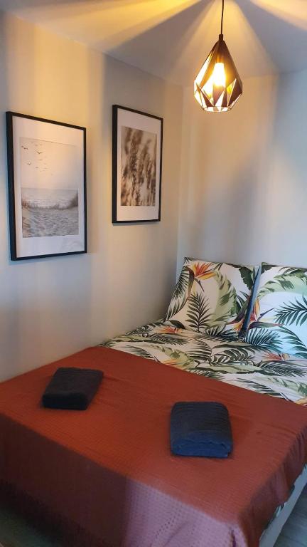 Appartement TROPICAL - Appt climatisé - Proche plage - Aquarium - Parking - Wifi 25 Boulevard de la Jetée 66140 Canet-en-Roussillon