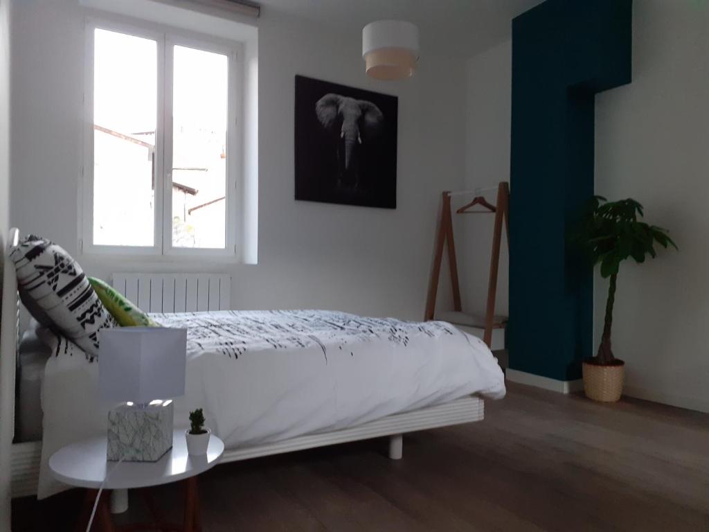 Appartement Tropical loft 2ème étage 12 Rue Villeneuve 43000 Le Puy-en-Velay