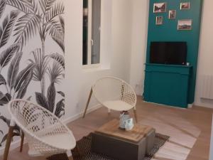 Appartement Tropical loft 2ème étage 12 Rue Villeneuve 43000 Le Puy-en-Velay Auvergne