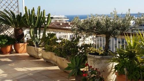 Two Bedrooms Cannes