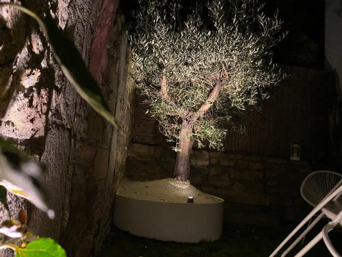 TY LAUMANN petite maison jardin sur le port de vannes avec Parking souterrain